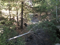 rrente Quarantore-20110911 021